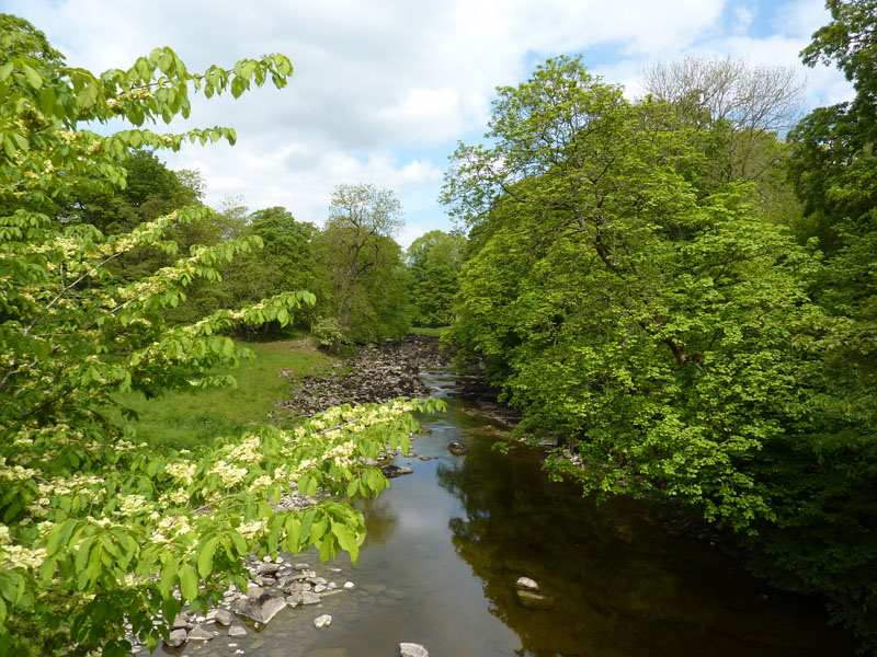 Ribble at Stainforth